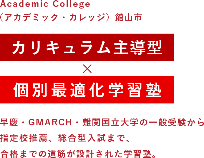 カリキュラム手動型×個別最適化学習